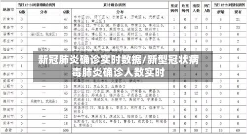 新冠肺炎确诊实时数据/新型冠状病毒肺炎确诊人数实时