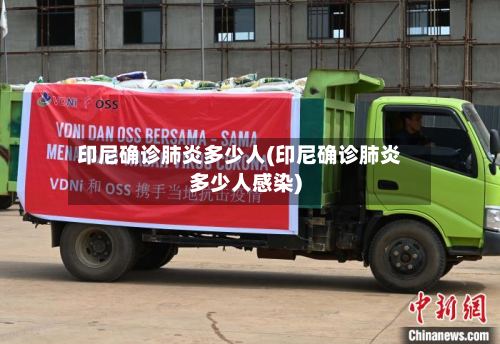 印尼确诊肺炎多少人(印尼确诊肺炎多少人感染)-第3张图片
