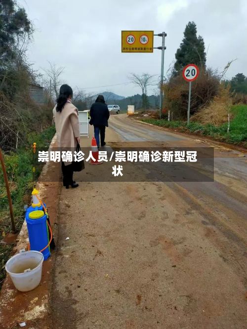 崇明确诊人员/崇明确诊新型冠状-第2张图片