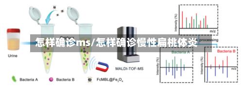 怎样确诊ms/怎样确诊慢性扁桃体炎