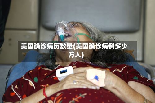 美国确诊病历数量(美国确诊病例多少万人)-第2张图片