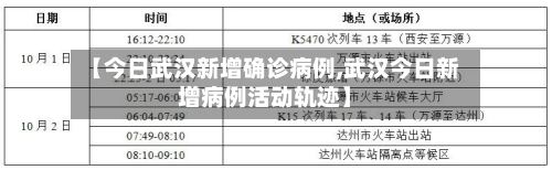 【今日武汉新增确诊病例,武汉今日新增病例活动轨迹】