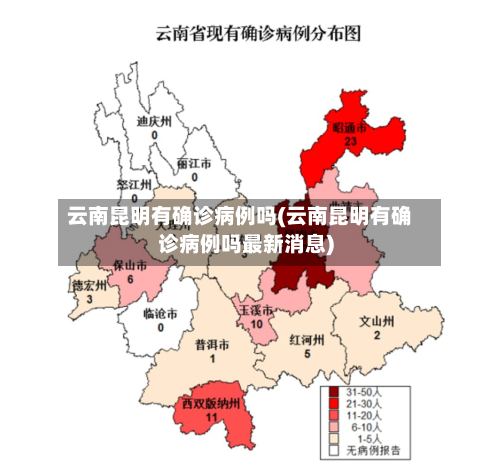 云南昆明有确诊病例吗(云南昆明有确诊病例吗最新消息)-第2张图片