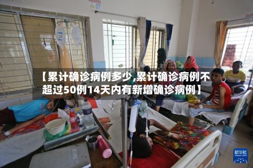 【累计确诊病例多少,累计确诊病例不超过50例14天内有新增确诊病例】-第3张图片