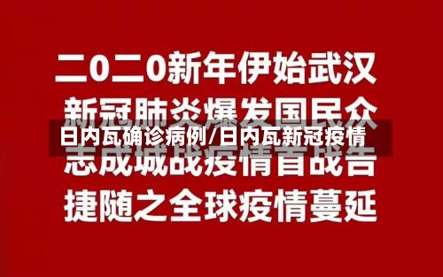 日内瓦确诊病例/日内瓦新冠疫情-第2张图片