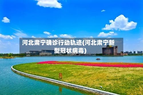 河北肃宁确诊行动轨迹(河北肃宁新型冠状病毒)-第2张图片