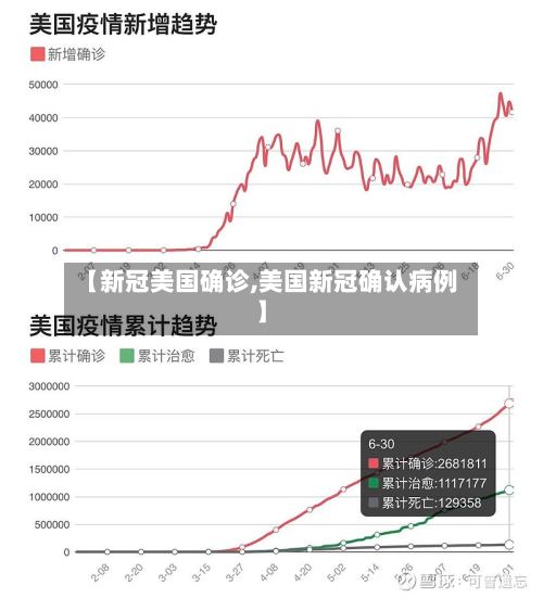 【新冠美国确诊,美国新冠确认病例】-第3张图片