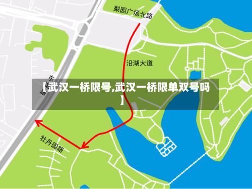 【武汉一桥限号,武汉一桥限单双号吗】