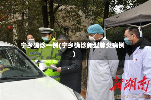 宁乡确诊一例(宁乡确诊新型肺炎病例)-第3张图片