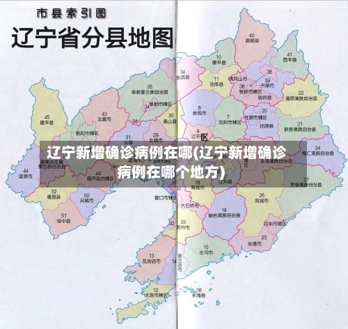 辽宁新增确诊病例在哪(辽宁新增确诊病例在哪个地方)-第2张图片