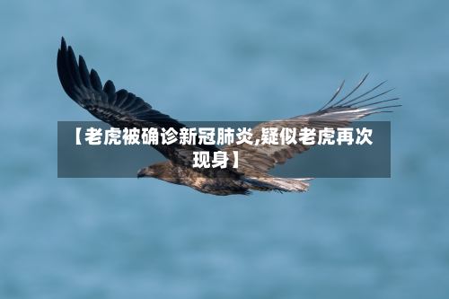 【老虎被确诊新冠肺炎,疑似老虎再次现身】-第3张图片
