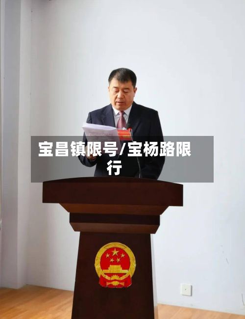 宝昌镇限号/宝杨路限行