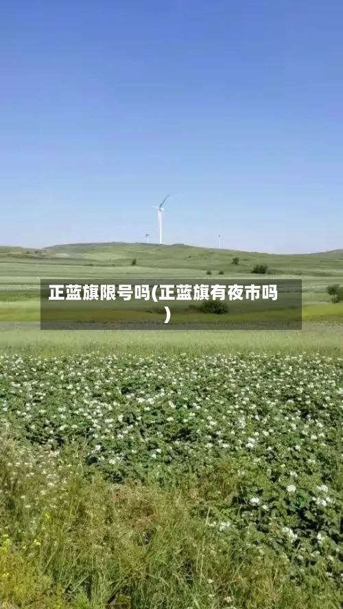 正蓝旗限号吗(正蓝旗有夜市吗)-第2张图片