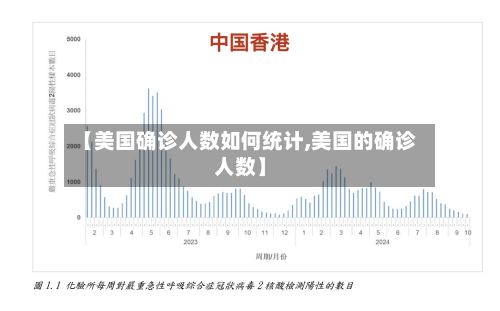 【美国确诊人数如何统计,美国的确诊人数】-第2张图片