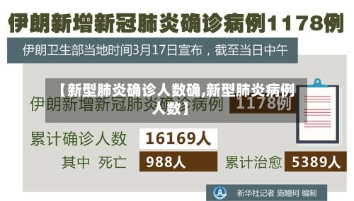 【新型肺炎确诊人数确,新型肺炎病例人数】