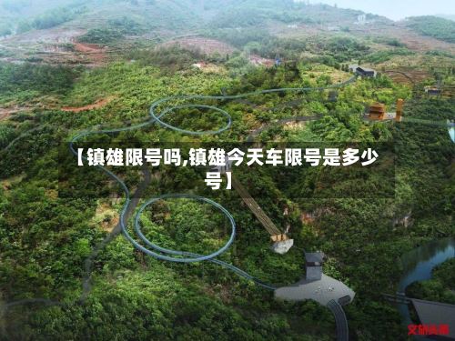 【镇雄限号吗,镇雄今天车限号是多少号】-第2张图片