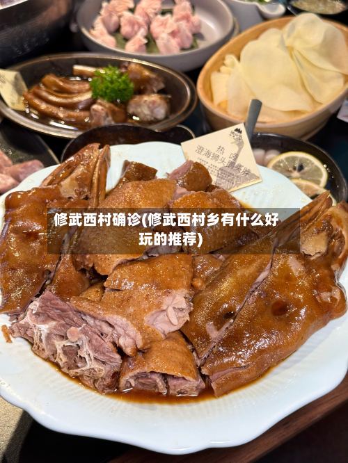 修武西村确诊(修武西村乡有什么好玩的推荐)-第2张图片