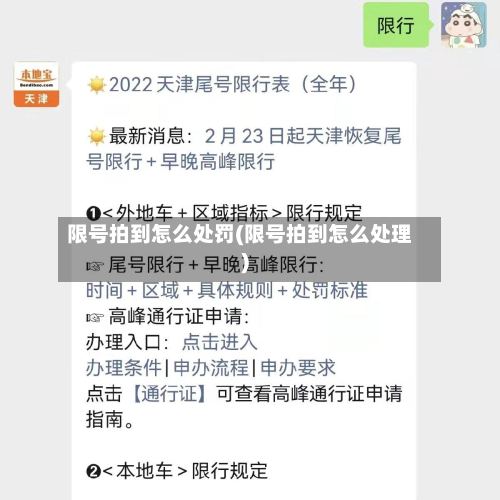 限号拍到怎么处罚(限号拍到怎么处理)