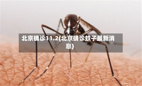 北京确诊11.2(北京确诊蚊子最新消息)-第2张图片