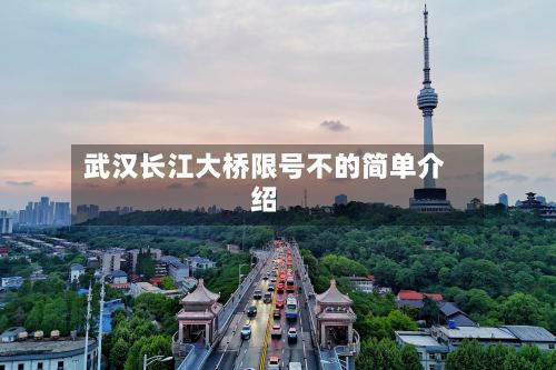 武汉长江大桥限号不的简单介绍
