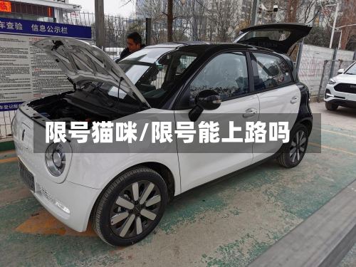 限号猫咪/限号能上路吗