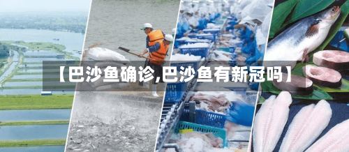 【巴沙鱼确诊,巴沙鱼有新冠吗】-第2张图片