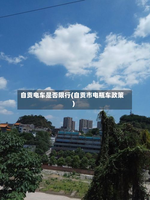 自贡电车是否限行(自贡市电瓶车政策)-第2张图片