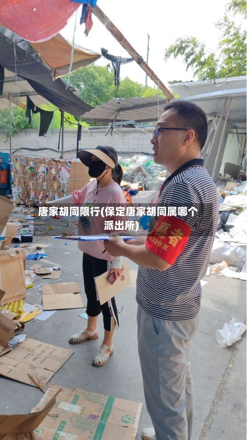 唐家胡同限行(保定唐家胡同属哪个派出所)-第2张图片