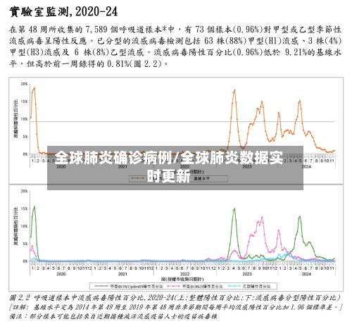 全球肺炎确诊病例/全球肺炎数据实时更新-第2张图片