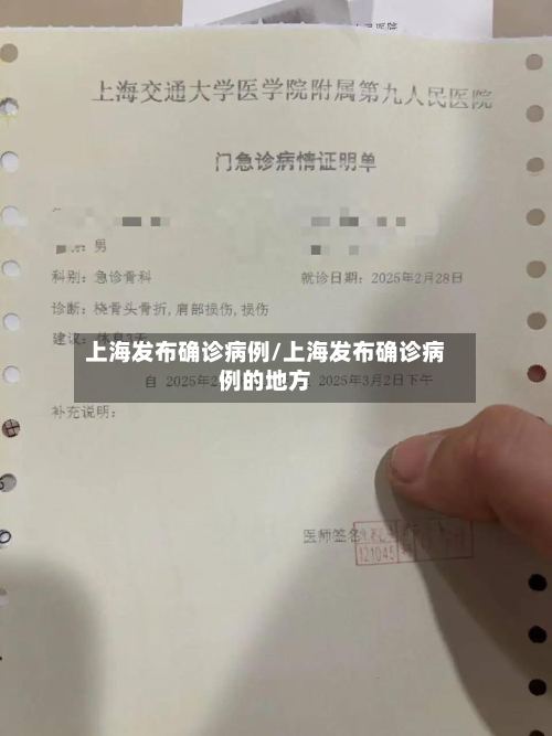 上海发布确诊病例/上海发布确诊病例的地方-第3张图片