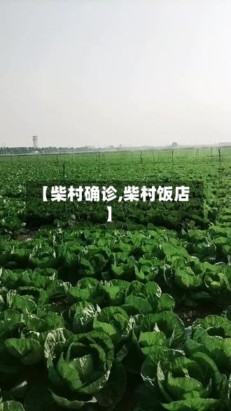 【柴村确诊,柴村饭店】-第2张图片