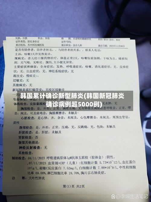 韩国累计确诊新型肺炎(韩国新冠肺炎确诊病例超5000例)-第2张图片