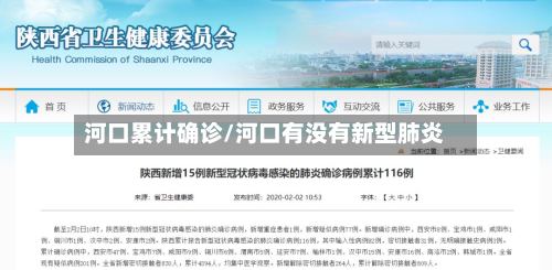 河口累计确诊/河口有没有新型肺炎-第2张图片