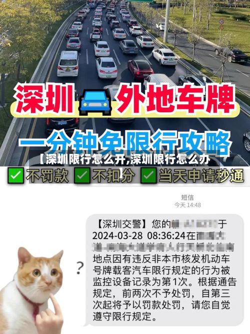 【深圳限行怎么开,深圳限行怎么办】