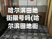 哈尔滨田地街限号吗(哈尔滨田地街36号是什么地方)-第2张图片