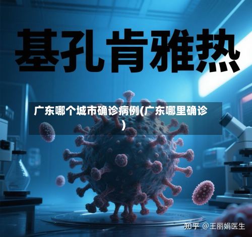 广东哪个城市确诊病例(广东哪里确诊)-第2张图片