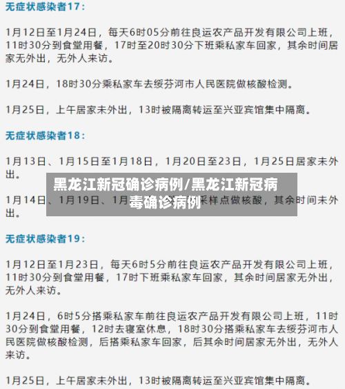 黑龙江新冠确诊病例/黑龙江新冠病毒确诊病例-第3张图片