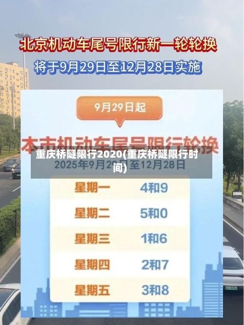重庆桥隧限行2020(重庆桥隧限行时间)-第2张图片