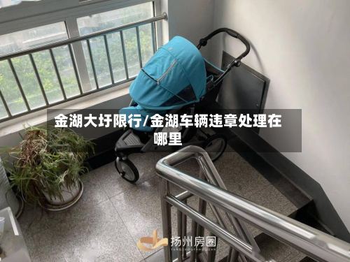 金湖大圩限行/金湖车辆违章处理在哪里-第2张图片