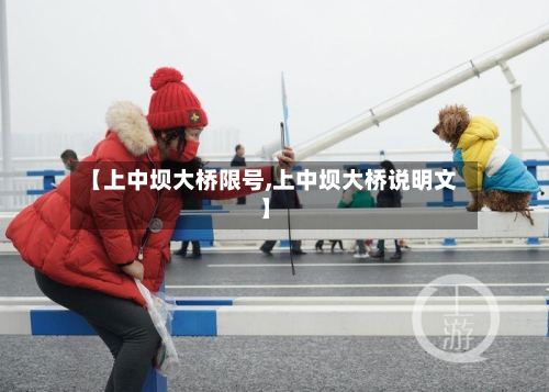 【上中坝大桥限号,上中坝大桥说明文】-第3张图片