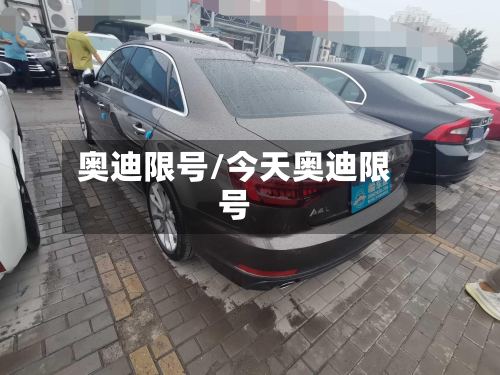 奥迪限号/今天奥迪限号