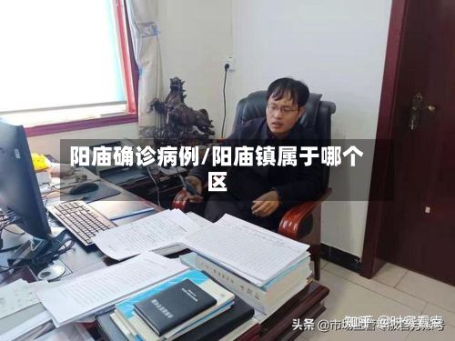 阳庙确诊病例/阳庙镇属于哪个区