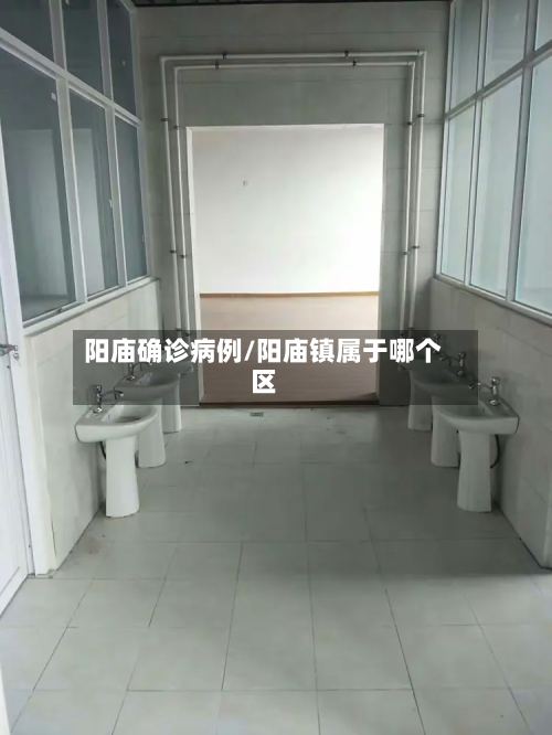 阳庙确诊病例/阳庙镇属于哪个区-第2张图片