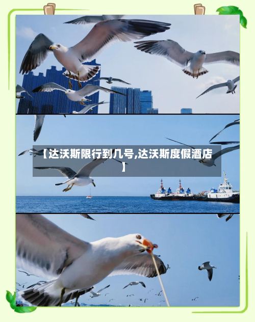 【达沃斯限行到几号,达沃斯度假酒店】-第2张图片