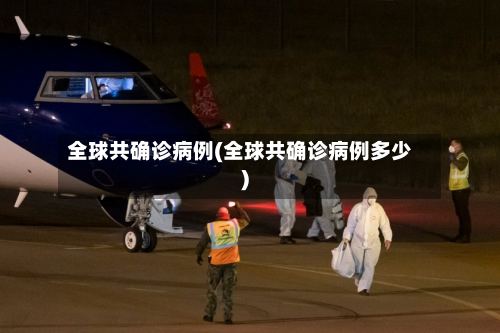 全球共确诊病例(全球共确诊病例多少)-第2张图片