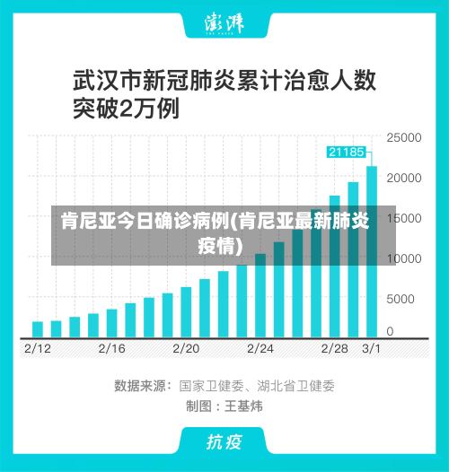 肯尼亚今日确诊病例(肯尼亚最新肺炎疫情)