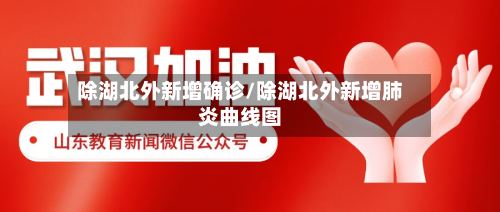 除湖北外新增确诊/除湖北外新增肺炎曲线图-第2张图片