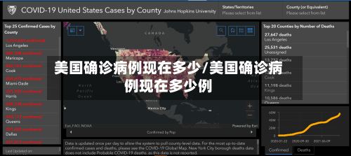 美国确诊病例现在多少/美国确诊病例现在多少例-第3张图片