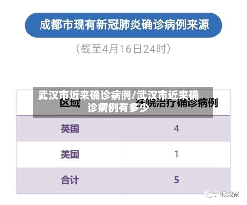 武汉市近来确诊病例/武汉市近来确诊病例有多少