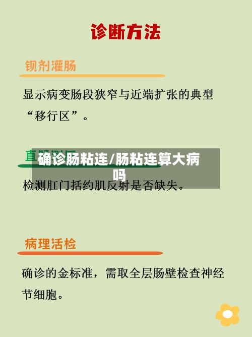 确诊肠粘连/肠粘连算大病吗